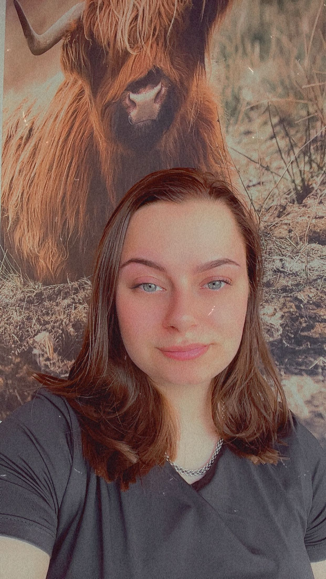 Lindsay