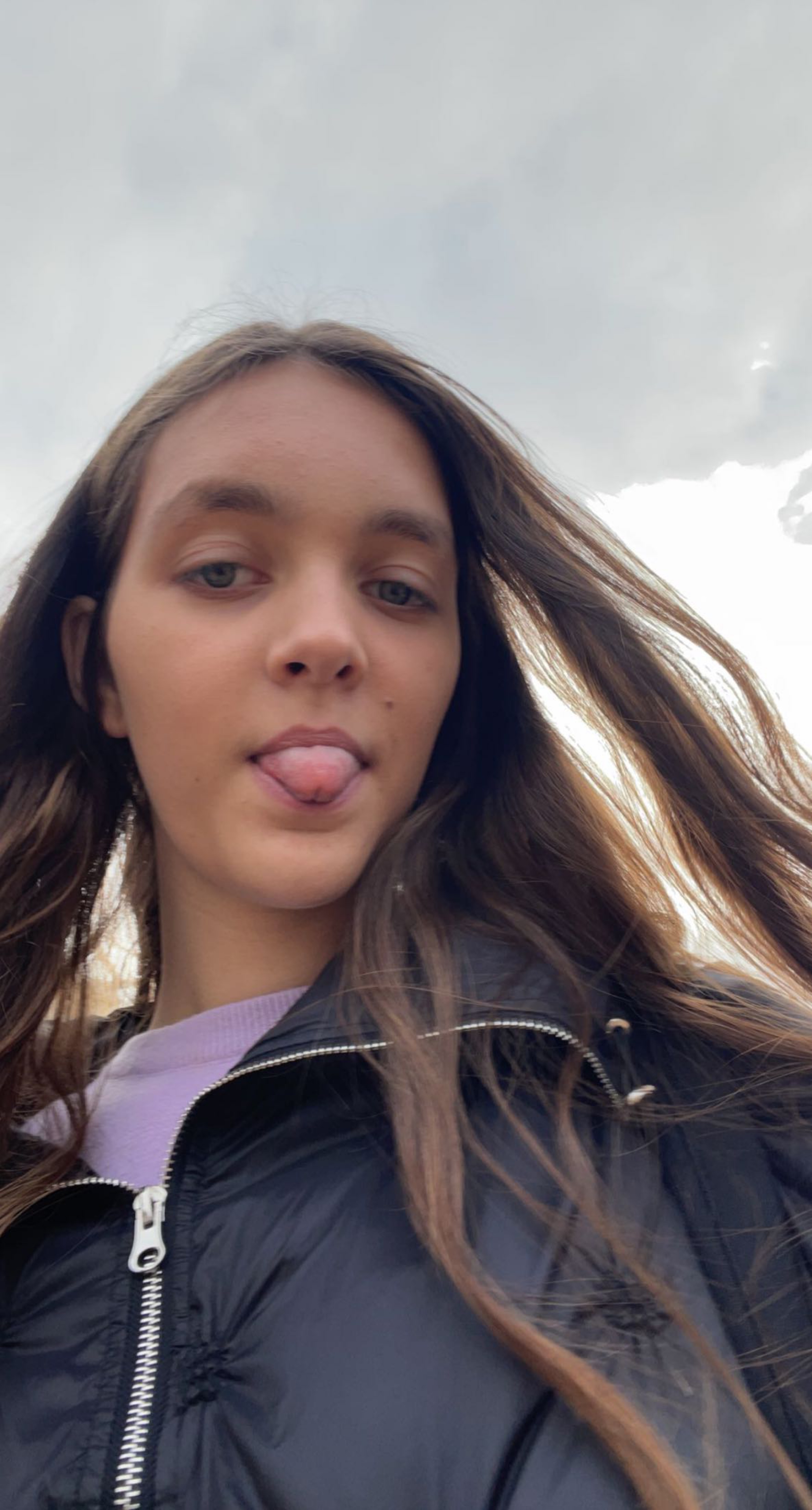 sterre