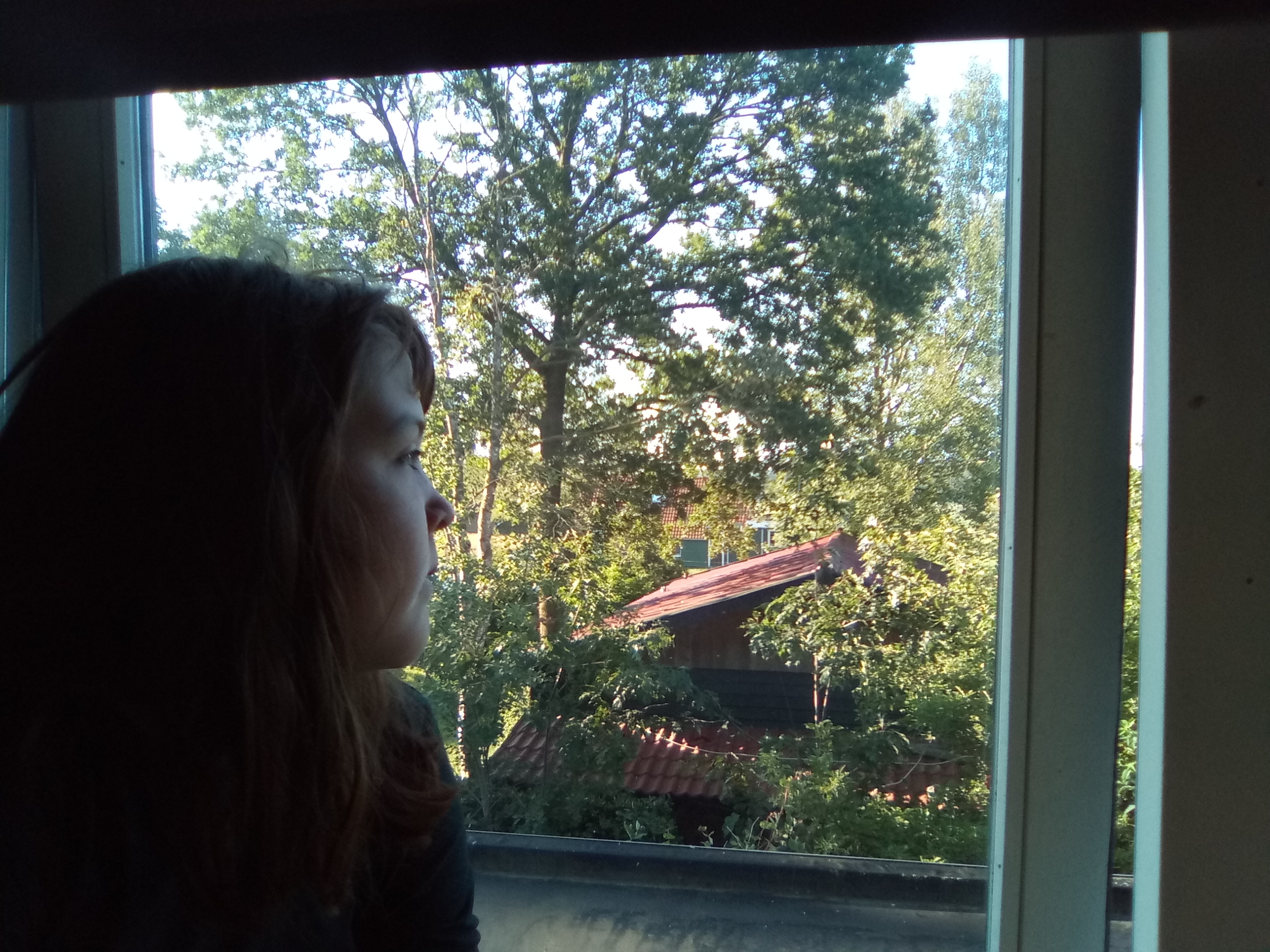lieke