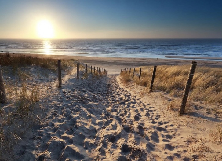 Sylvia
