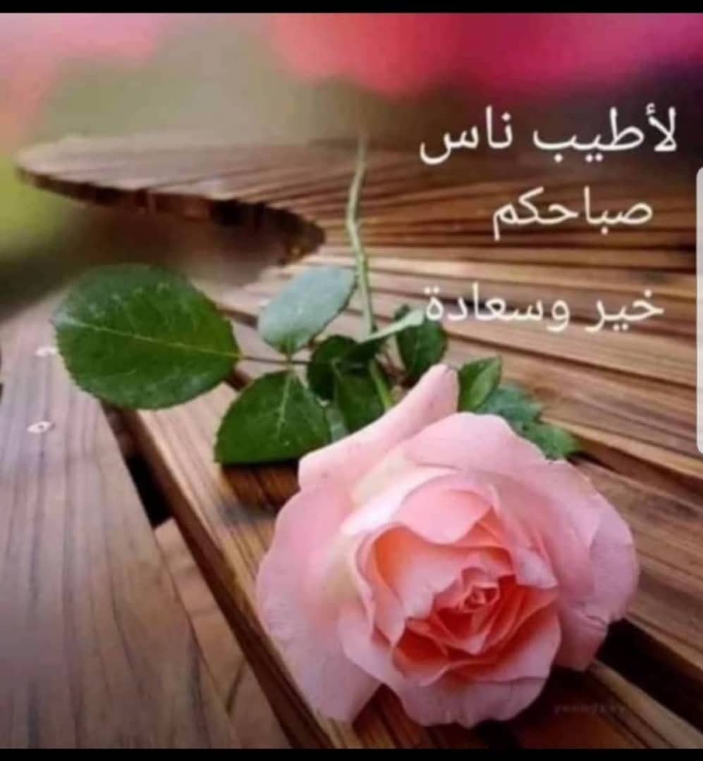 Najwa