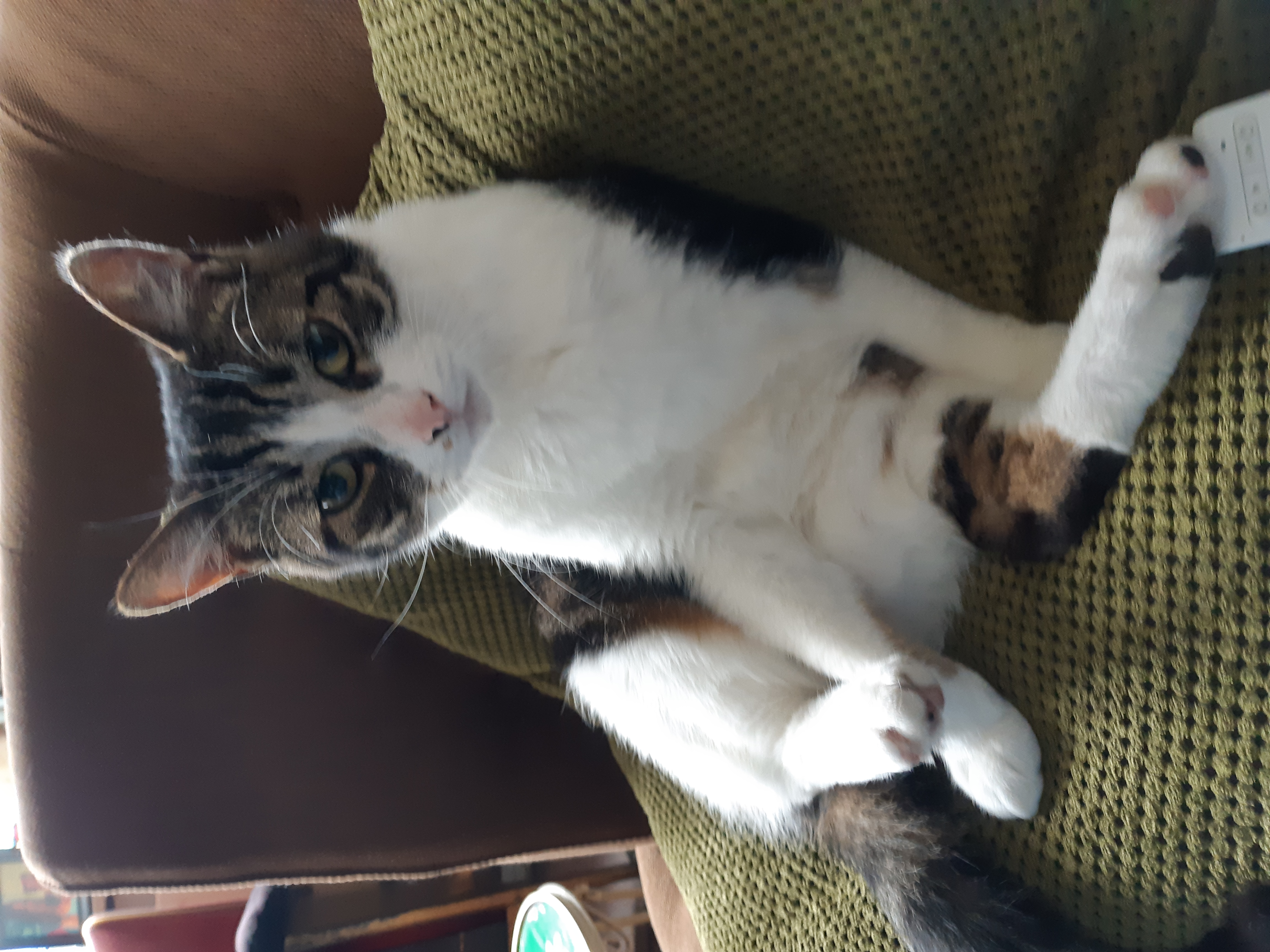 Suzan