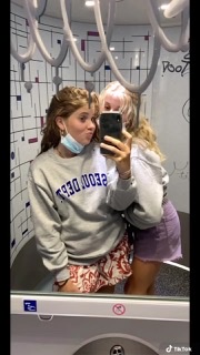 Saar dollekamp
