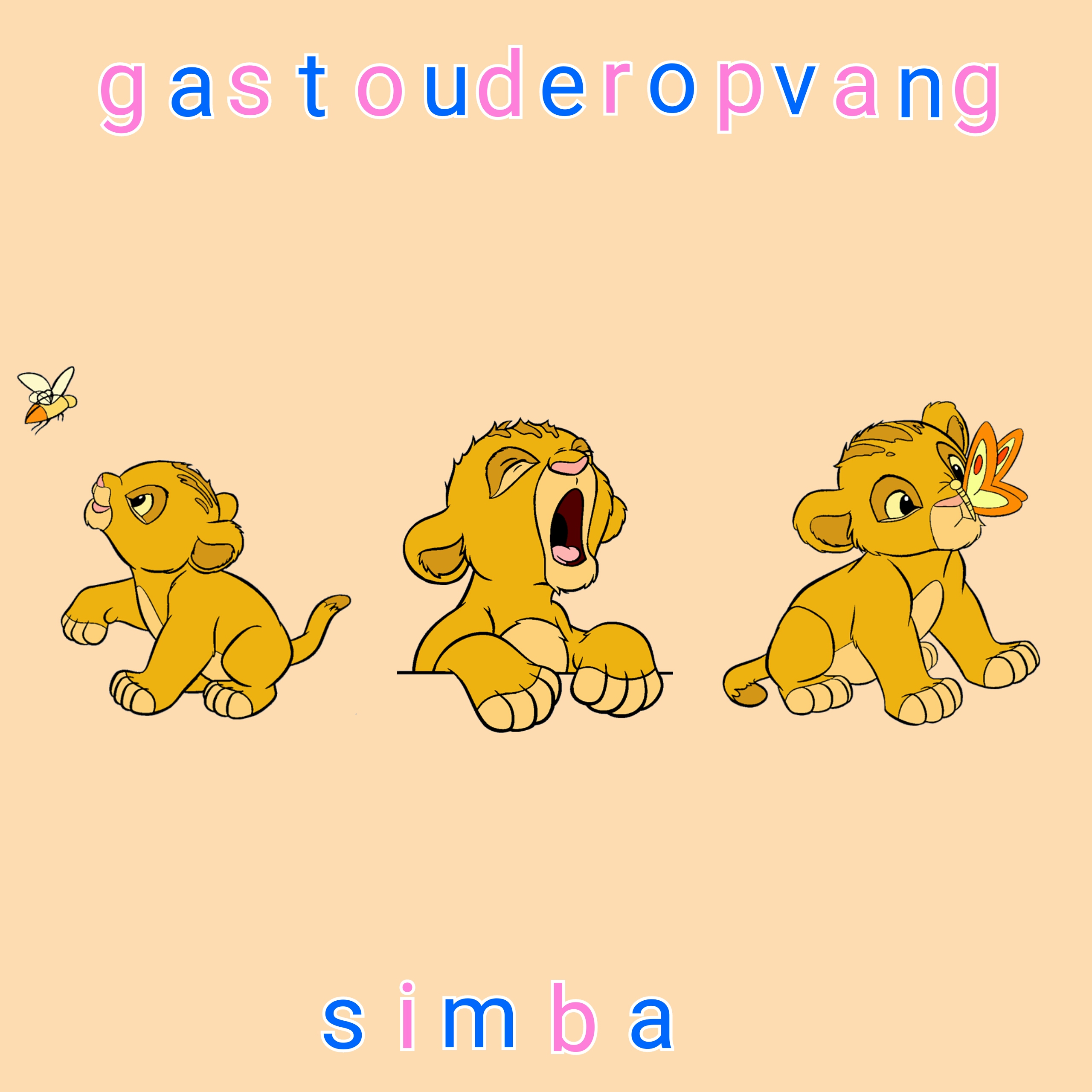 gastouderopvang Simba