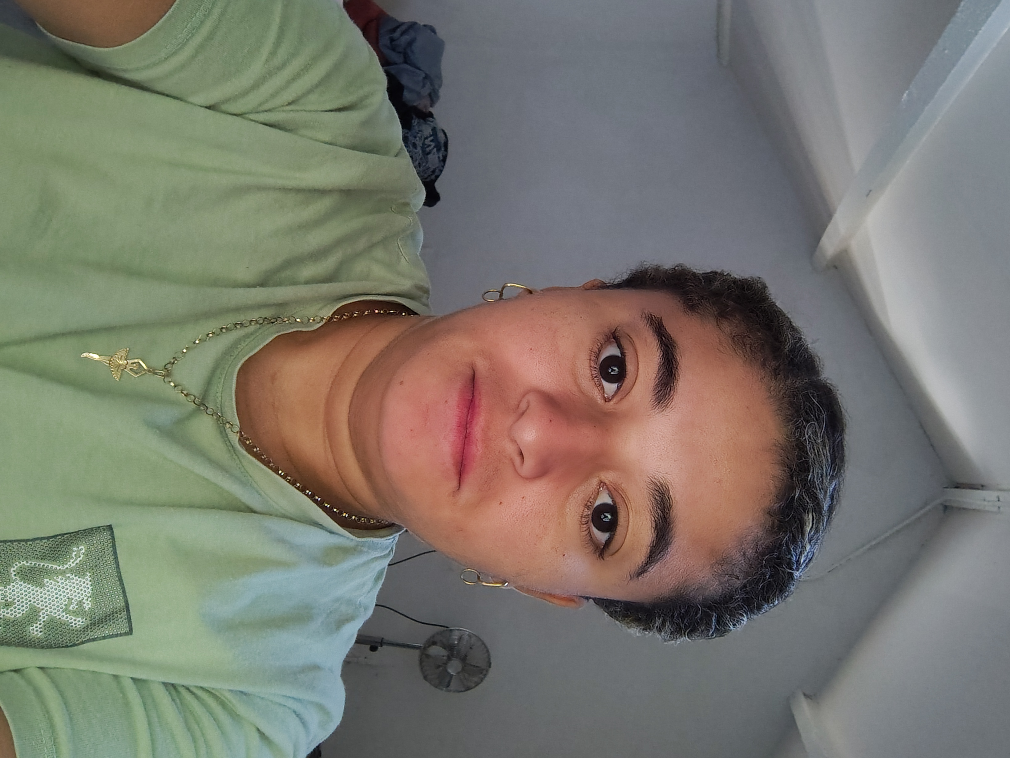 Sylla lima