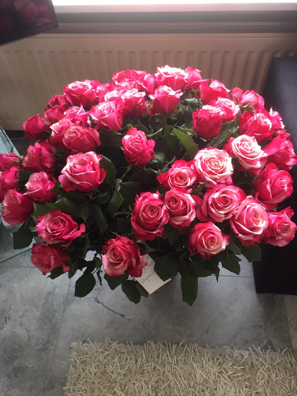 Serpil ozkan
