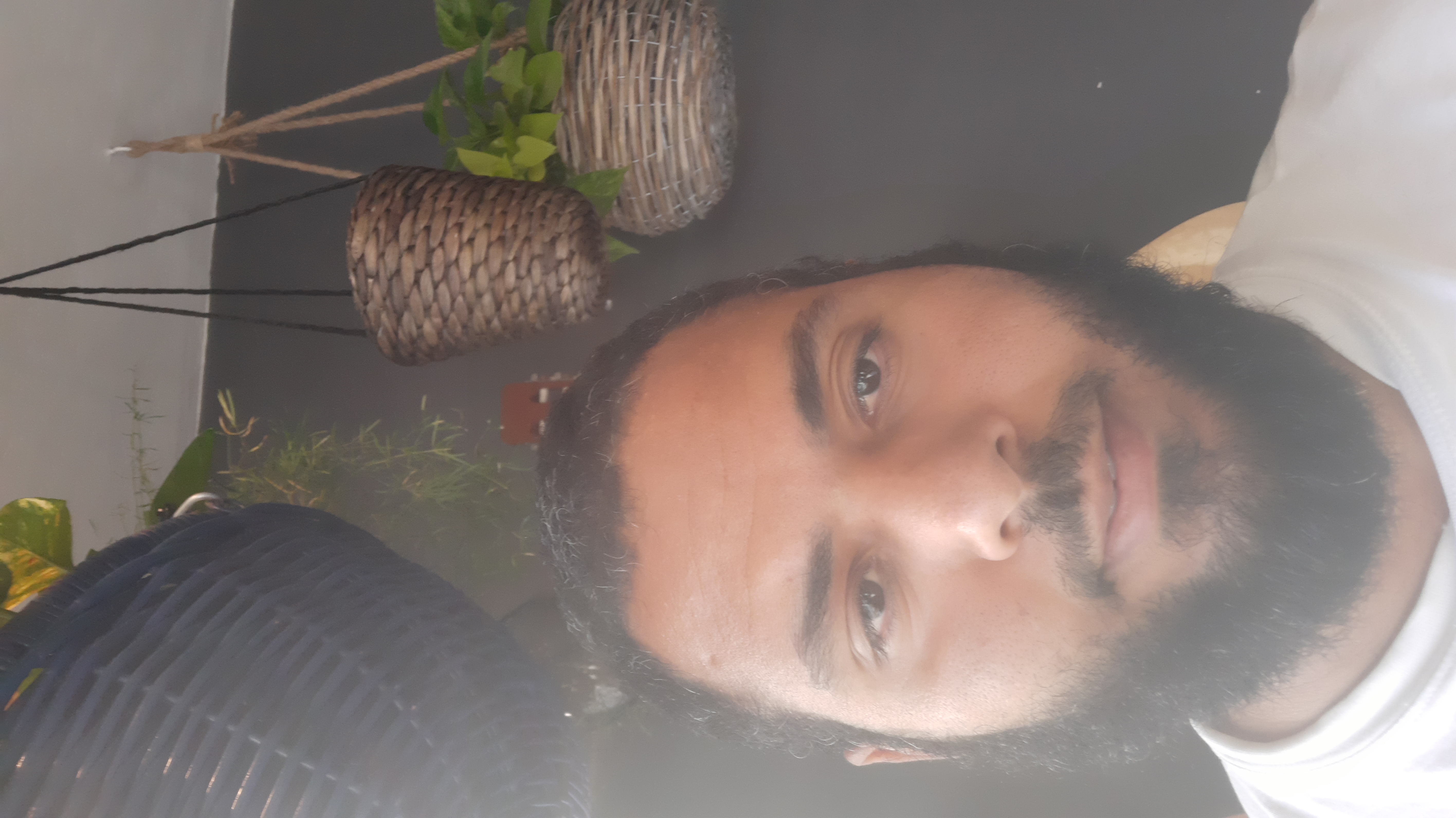 Mahmoud