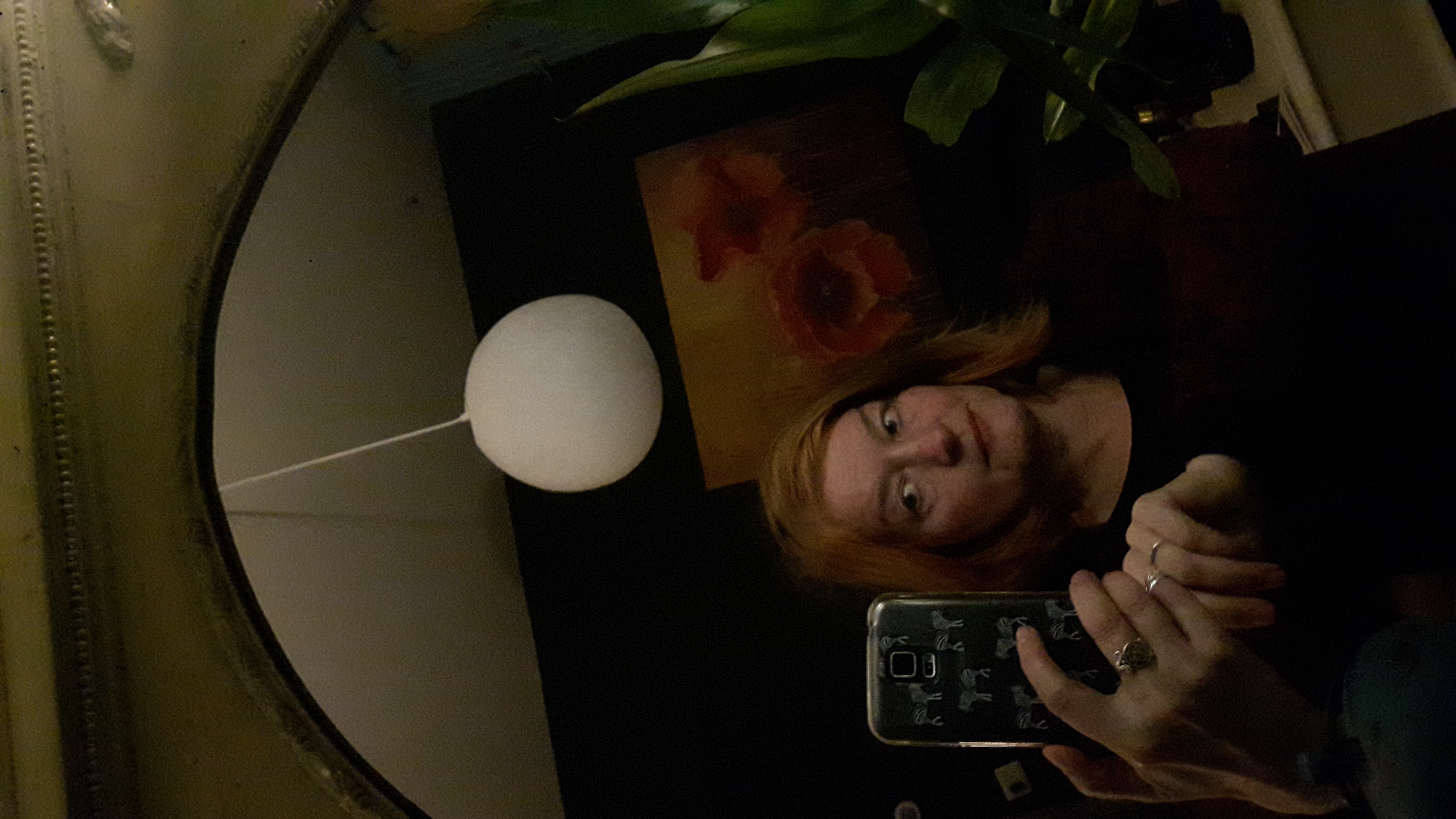 wilma